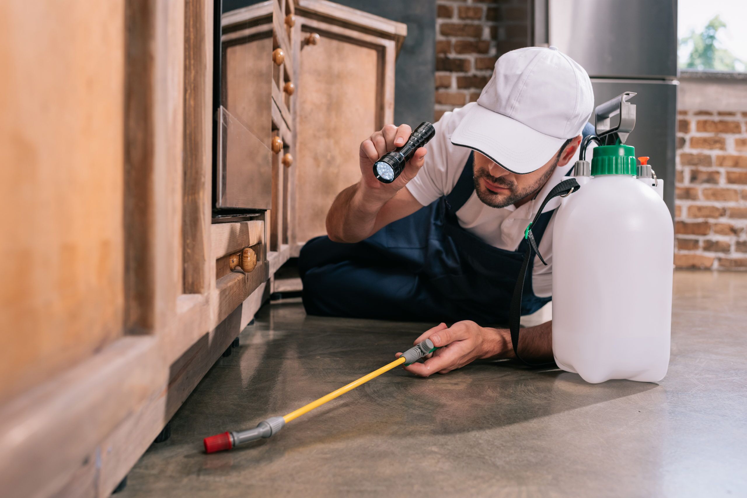 Pest Control Worker Lying On Floor And Spraying Pesticides Under